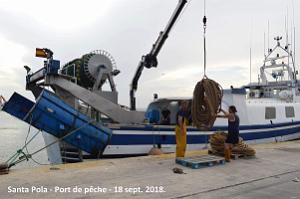 11 SANTA POLA PORT DE PECHE (90)